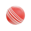 Cricket League icon